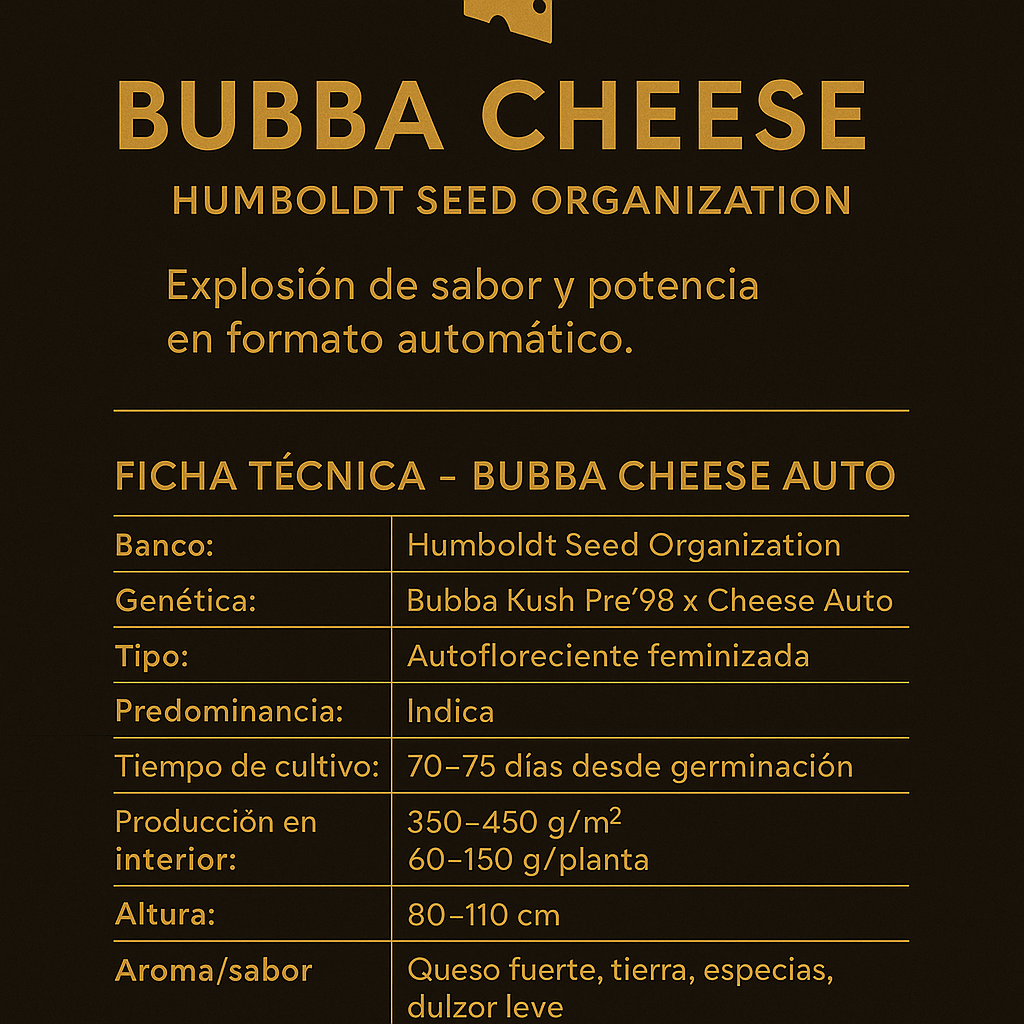 Semillas De Colección Humboldt Seeds Bubba Cheese Auto ¡Envío Gratis!