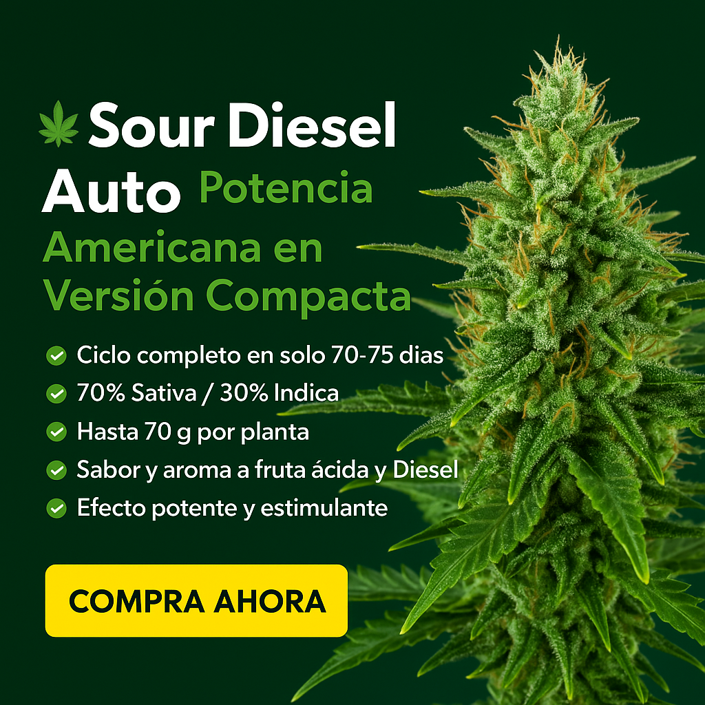 Semillas de Colección Humboldt Seeds Sour Diesel Auto ¡Envío Gratis!