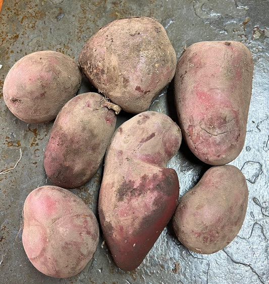 Papas