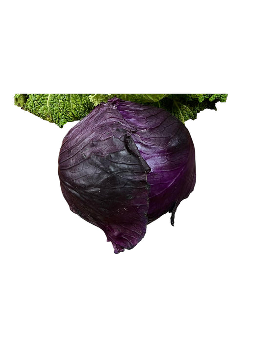 Repollo Morado
