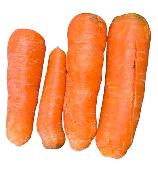 Zanahoria