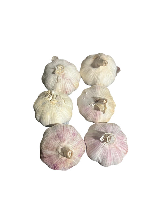 Ajo