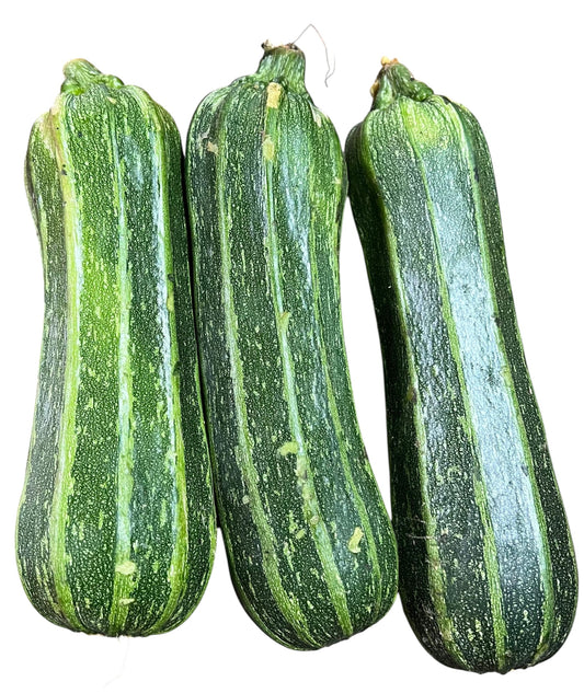Zapallo Italiano