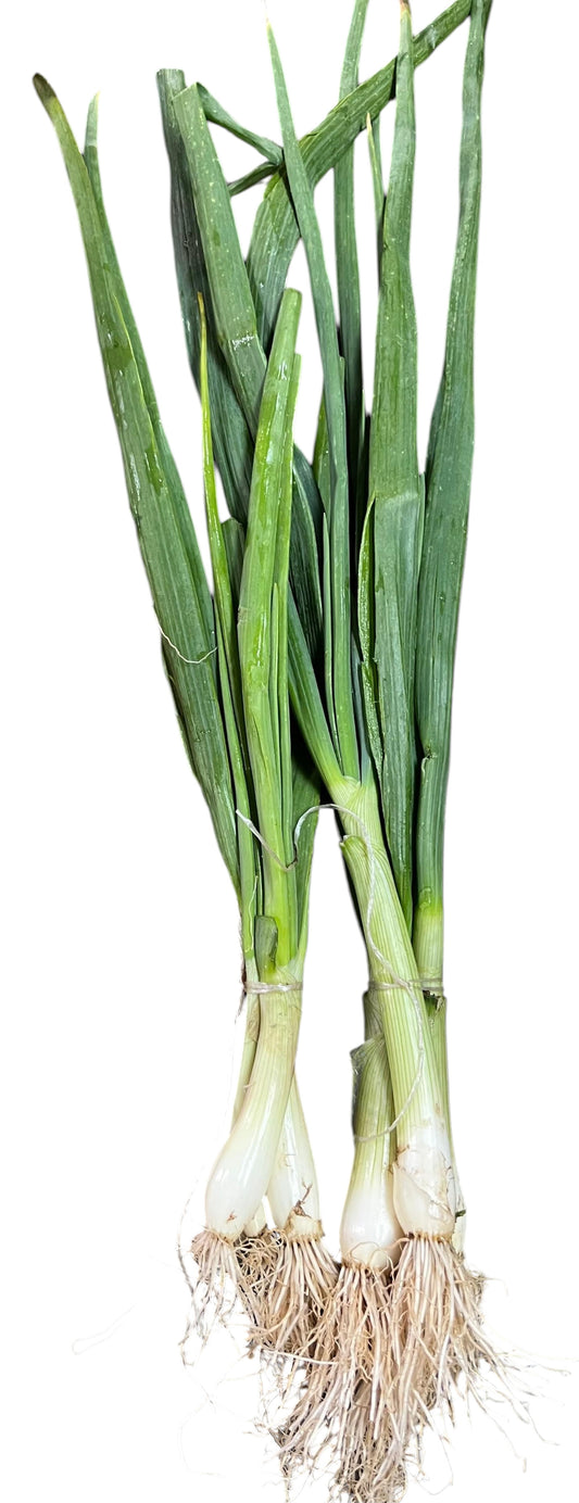 Cebollín
