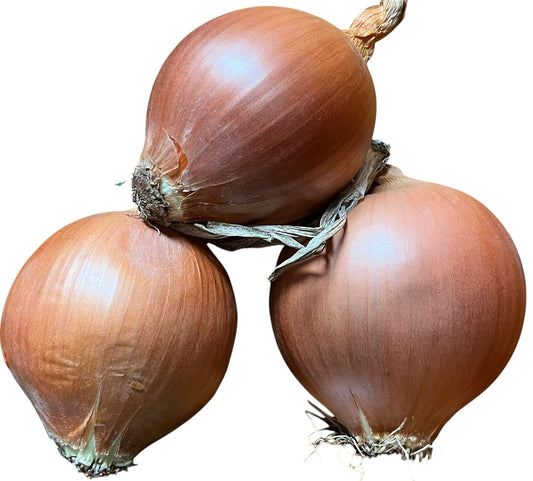 cebollas