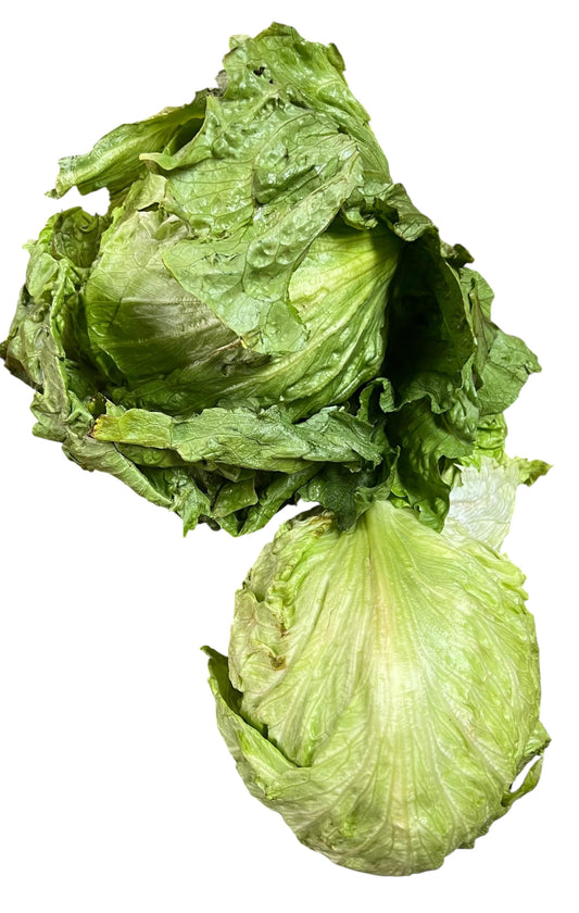 Lechuga Escarola